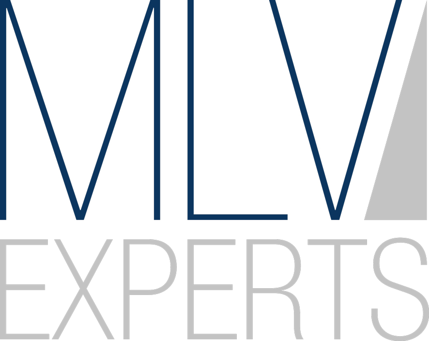 MLV Experts GmbH & Co. KG