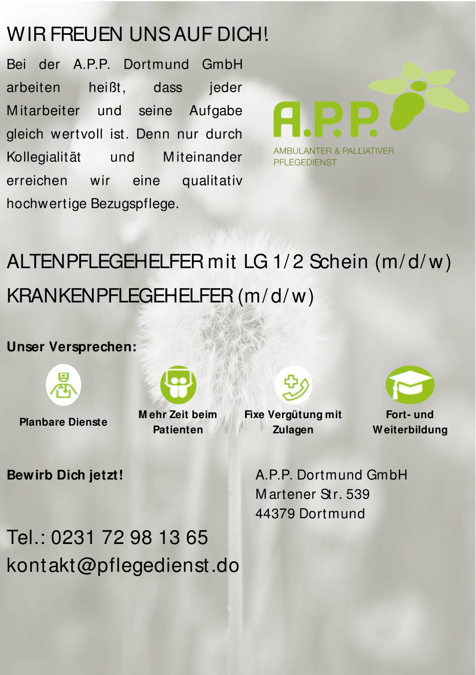 Altenpflegehelfer (m/w/x) mit LG 1/2 Schein - Krankenpflegehelfer(m/w/x)