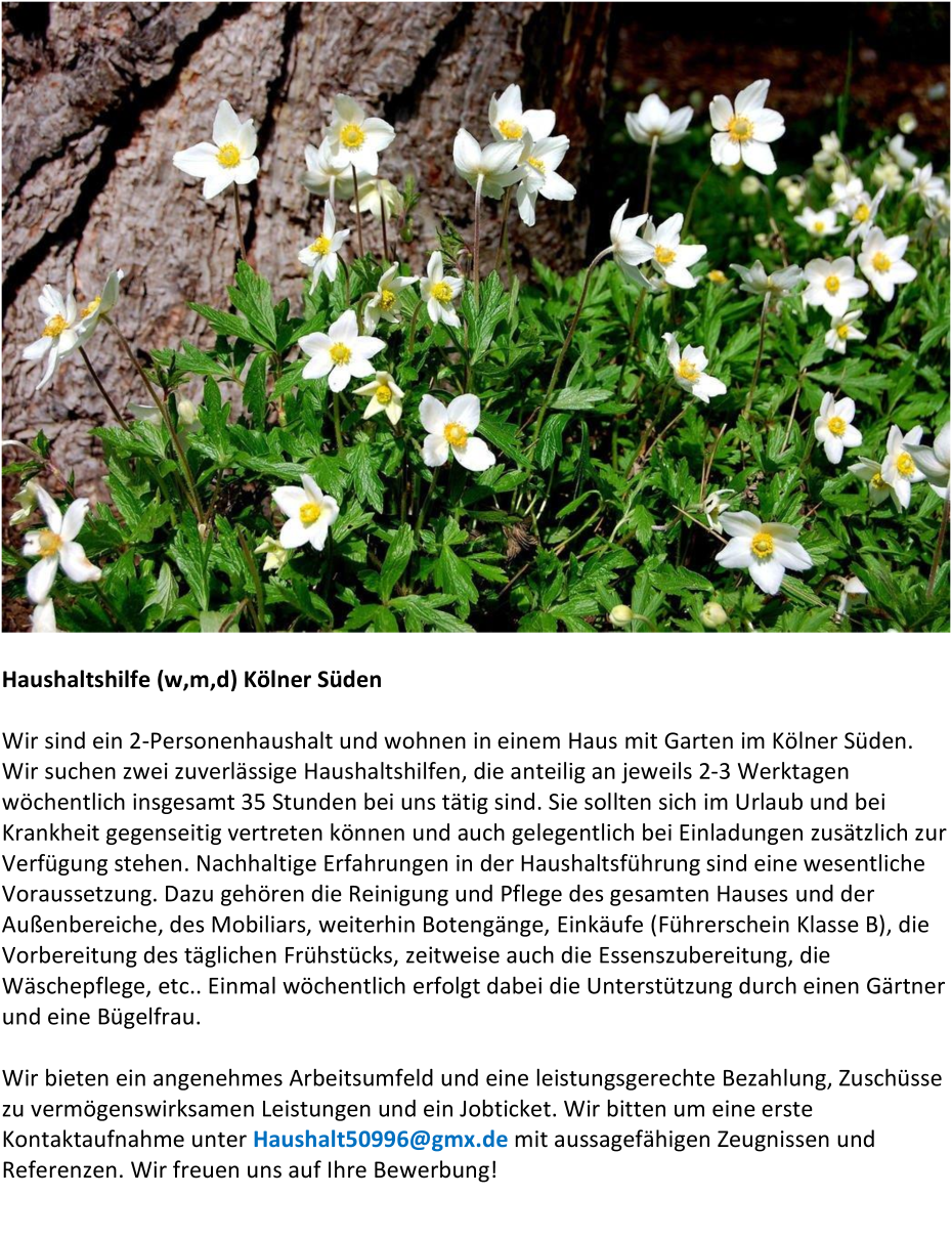 Haushaltshilfe (m/w/d) Kölner Süden