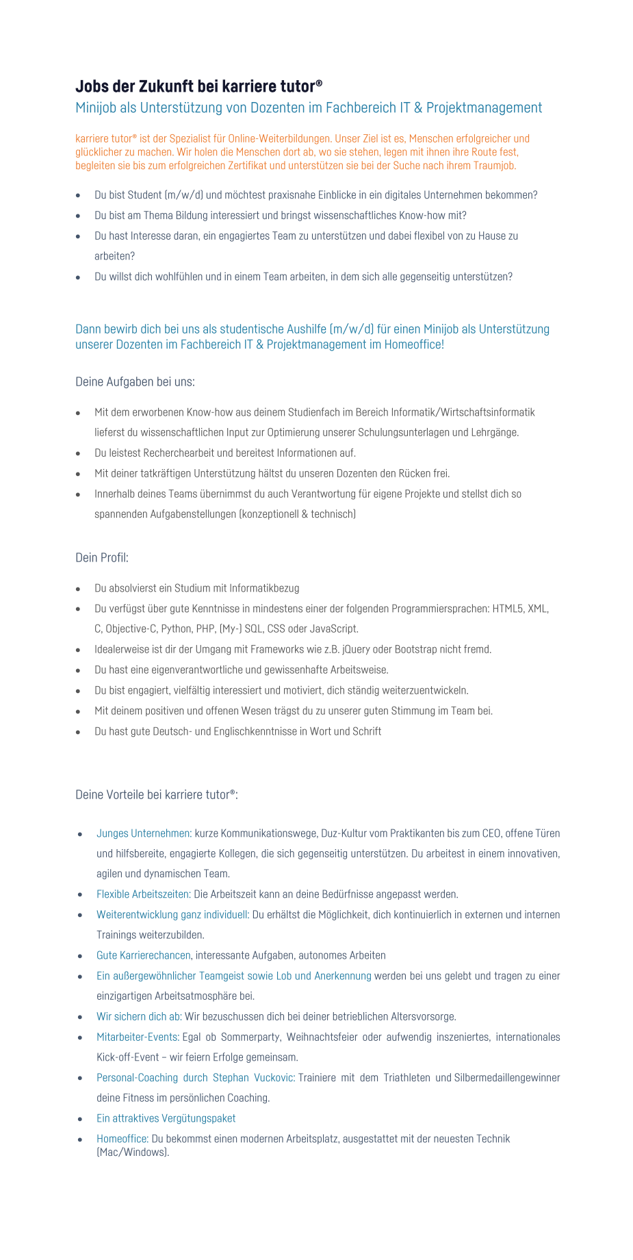 Minijob Fachbereich IT&PM