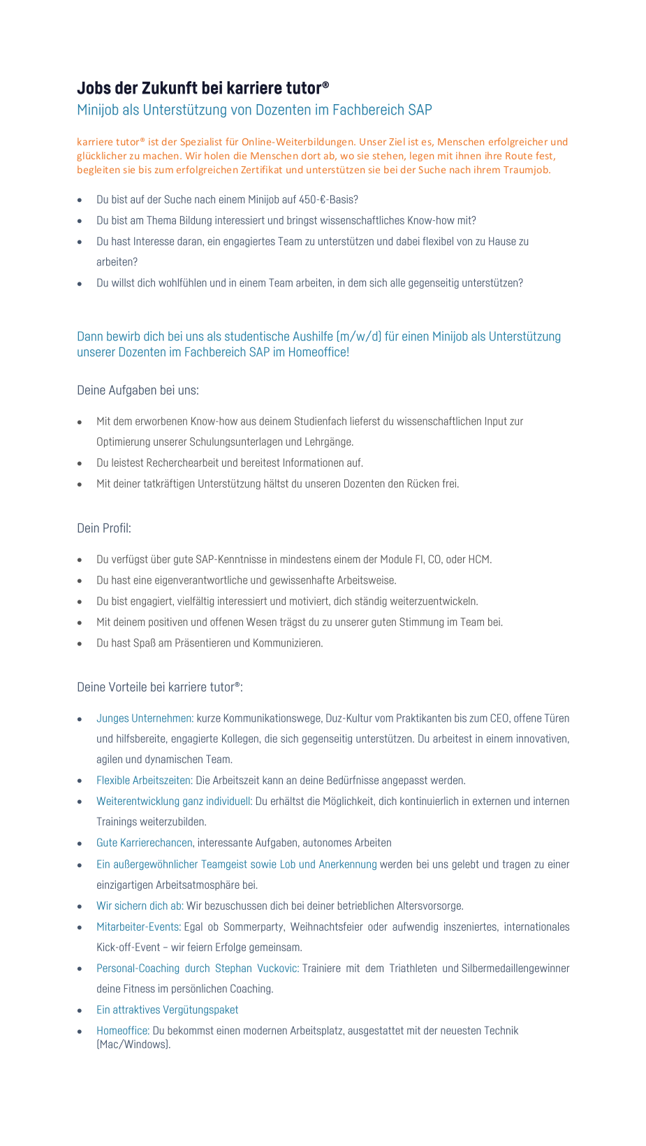 Minijob Fachbereich SAP