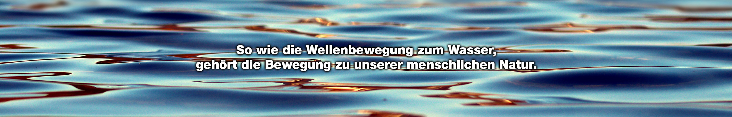 Praxis Anke Wasserfuhr — Headerbild